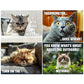 ⏳Nur für kurze Zeit – 50% RABATT⏰🐱 Lustiger Katzenkalender – 12 Monate frecher Katzenhumor