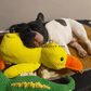 🔥LETZTER TAG-50% RABATT🐶 Quack-Quack Duck Hundespielzeug