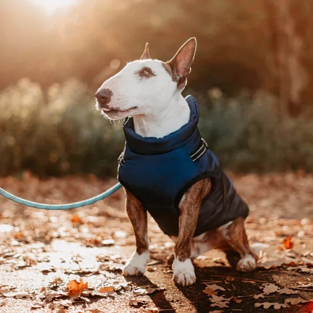 🐶Neujahrsverkauf 49 % RABATT🐾Wasserdichter Warmer Multifunktionaler Hundemantel-5