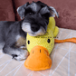 🔥LETZTER TAG-50% RABATT🐶 Quack-Quack Duck Hundespielzeug