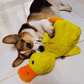 🔥LETZTER TAG-50% RABATT🐶 Quack-Quack Duck Hundespielzeug