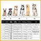 Accappatoio per animali super assorbente-1